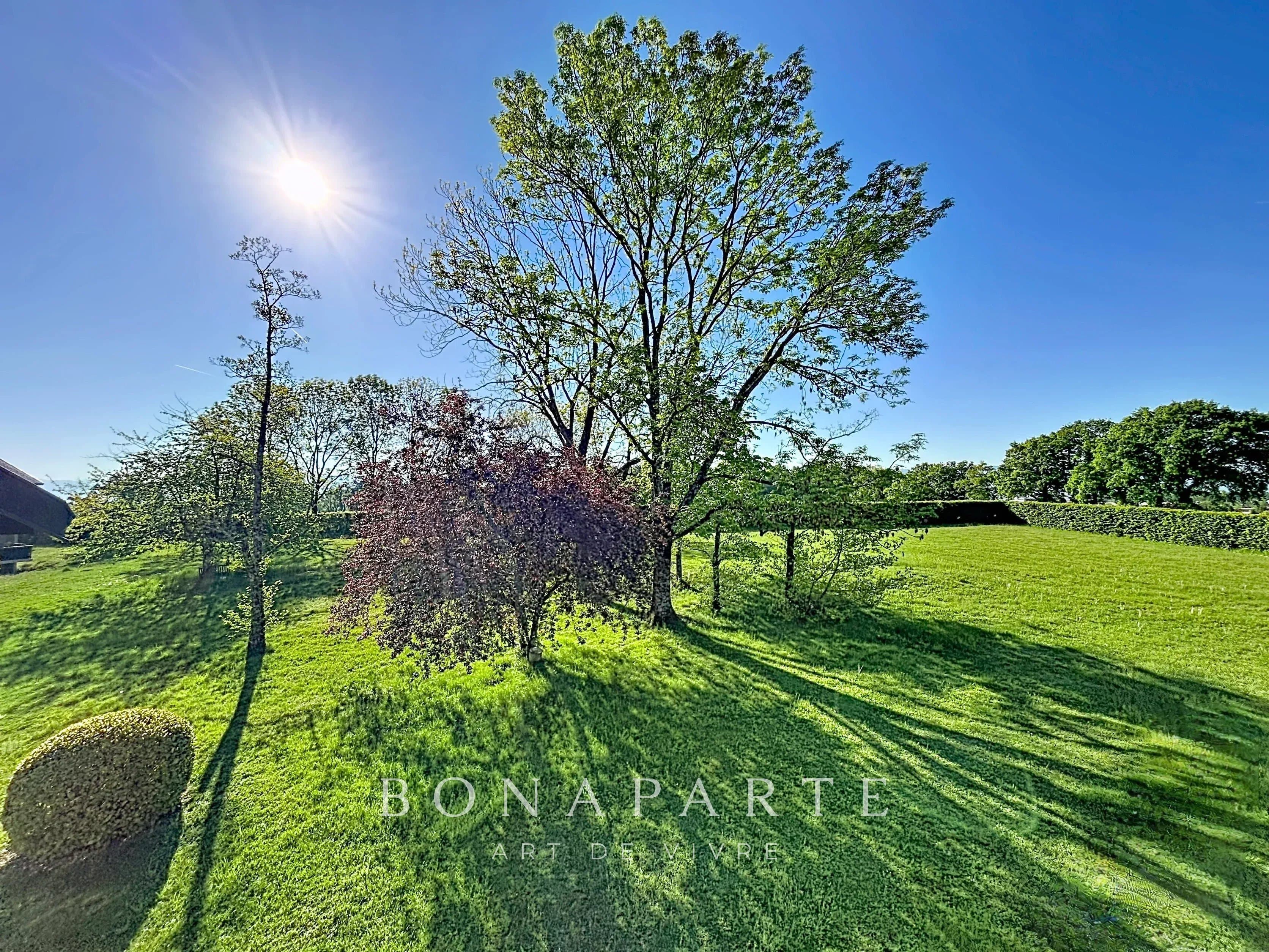 Property feature image