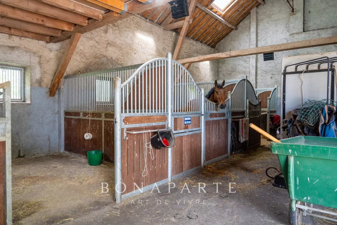 Saint-Genis-Pouilly - Domaine équestre privé – Aux portes de Genève - Photo 13