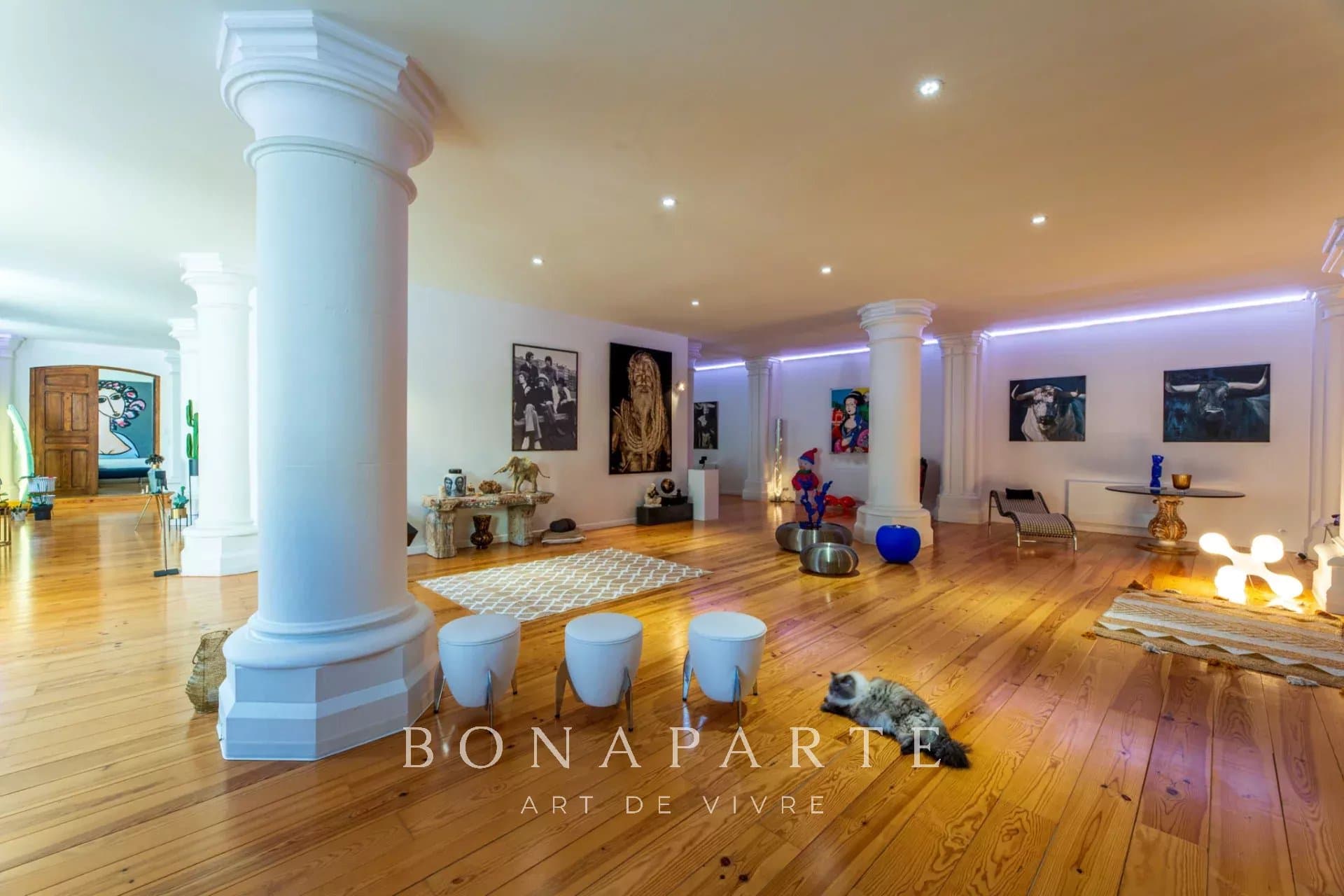 Pau Hypercentre - Exceptional apartment