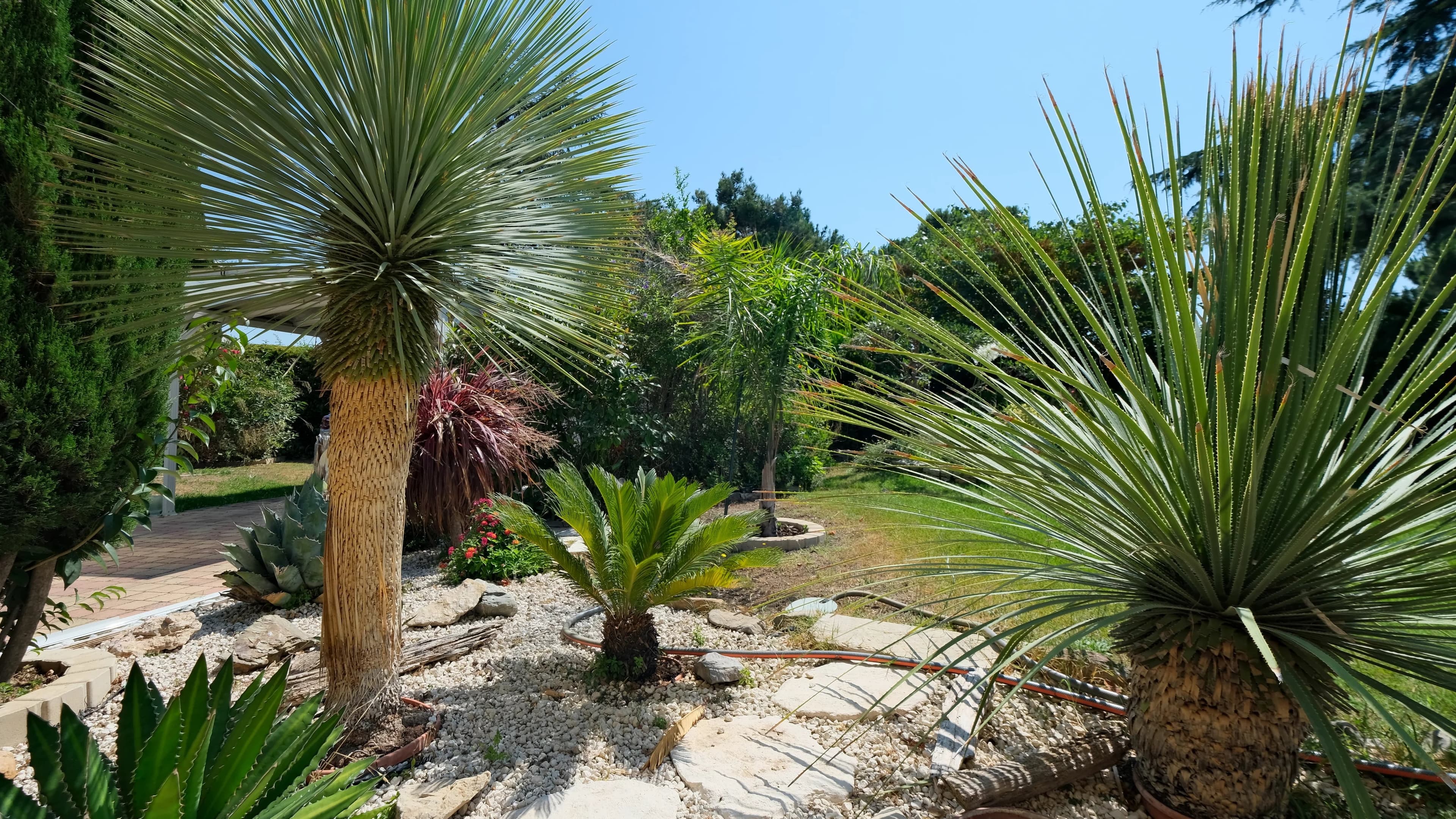 À Sauvian, maison familiale rénovée avec piscine et grand jardin paysager de 1 000 m² - Photo 18