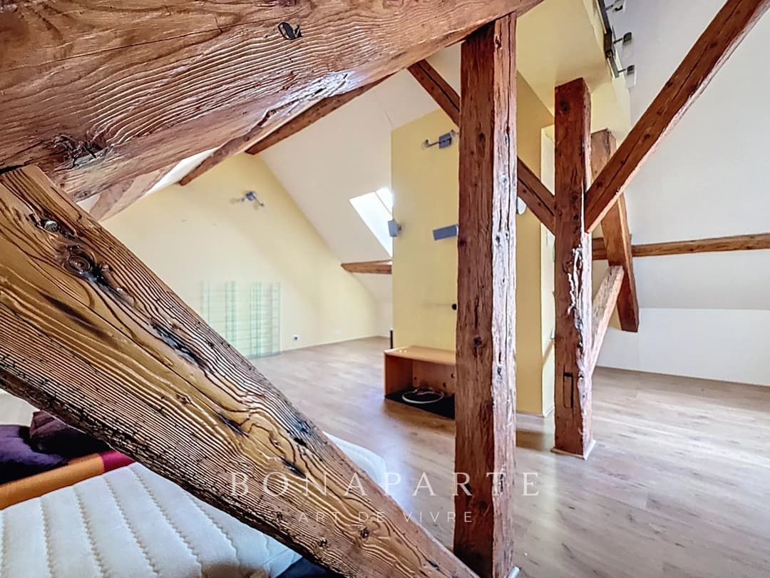 Gex - Appartement de caractère de 192 m² et 246 m² au sol - Photo 24