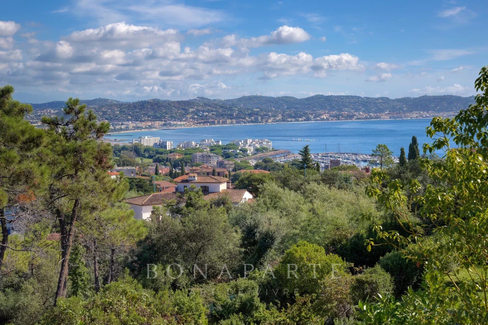 Property feature image