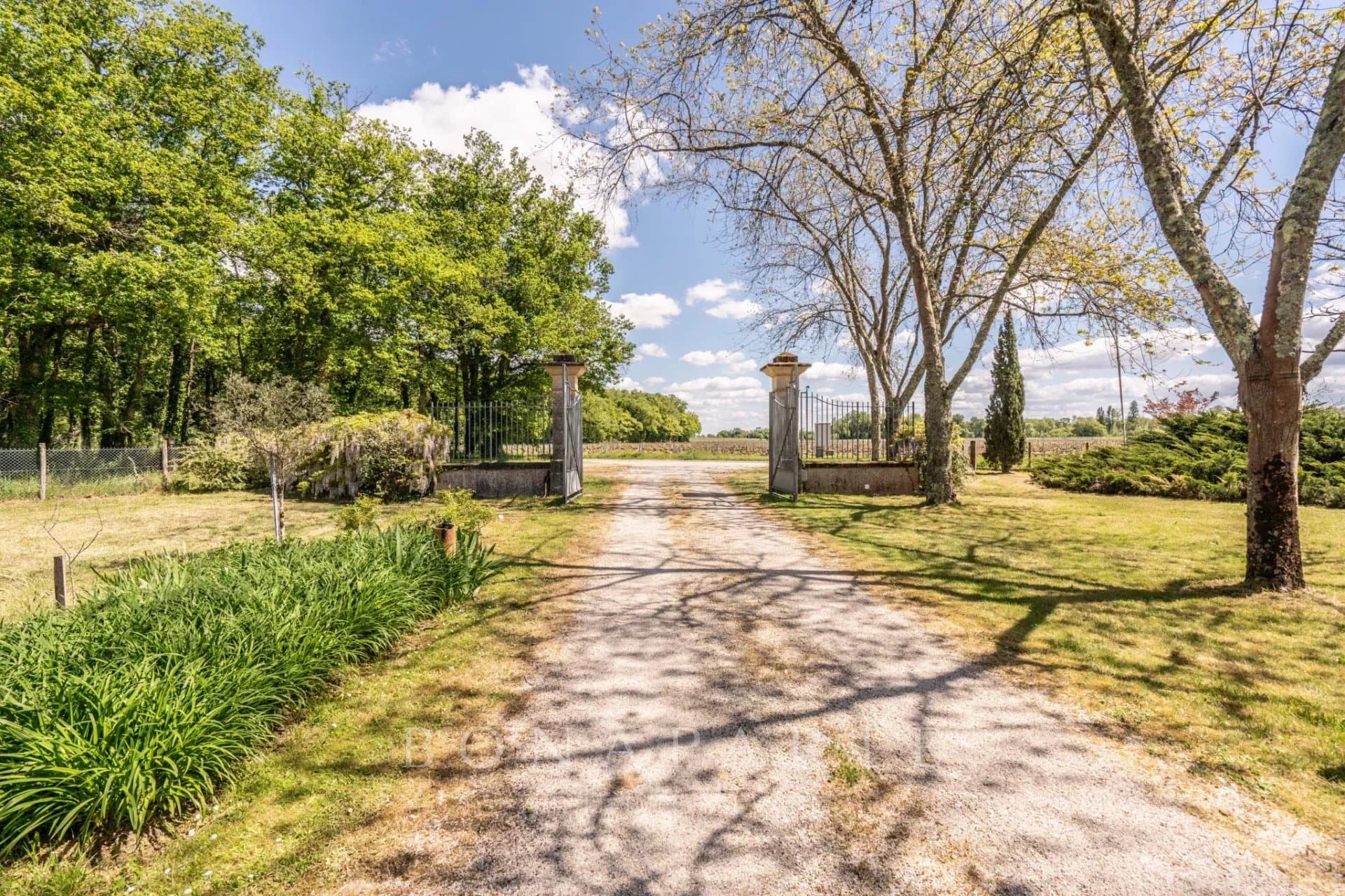 Property feature image