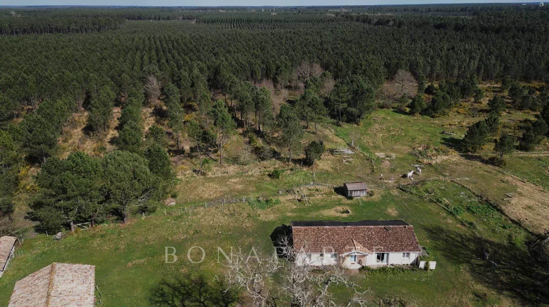 45 acre estate only 10 minutes from ocean beaches and 30 minutes from Bordeaux international airport
