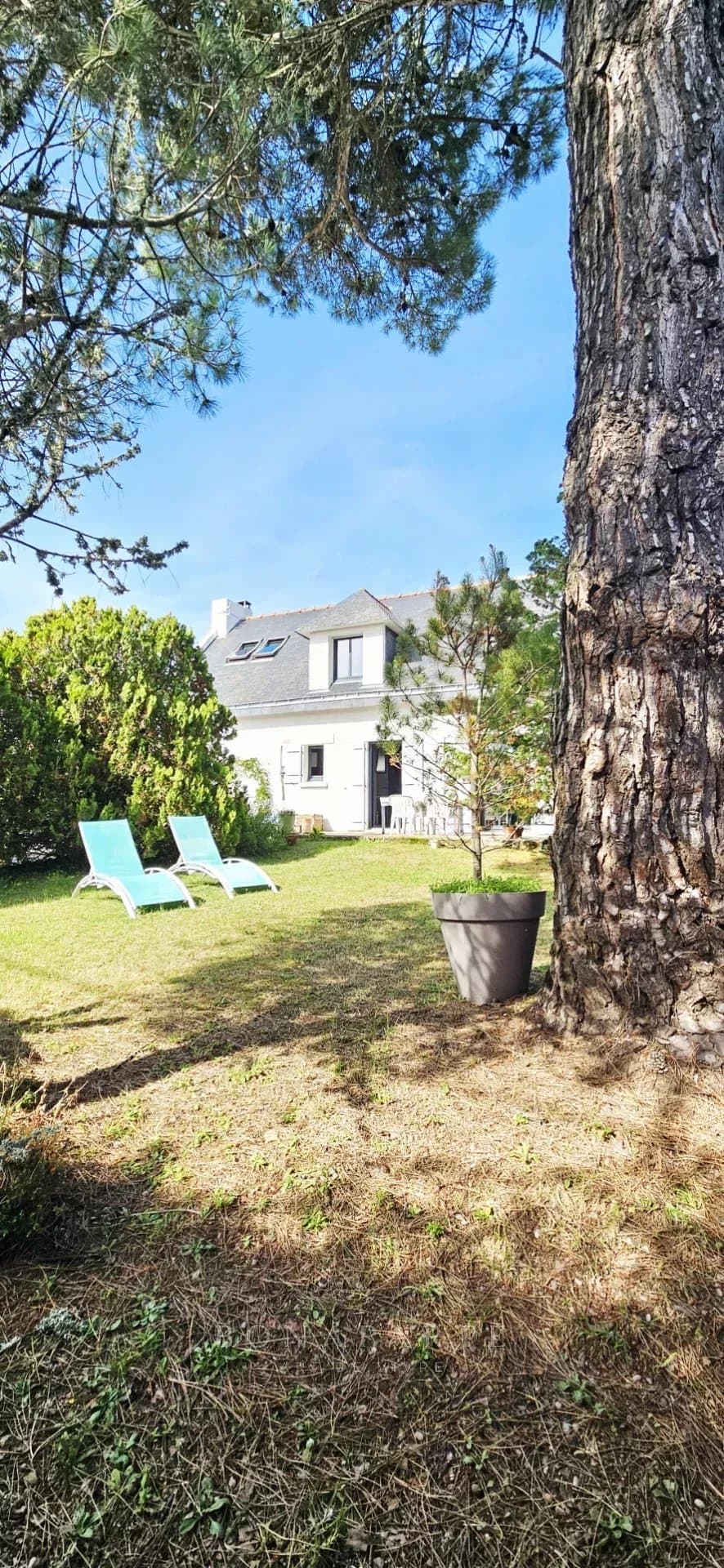 Property feature image