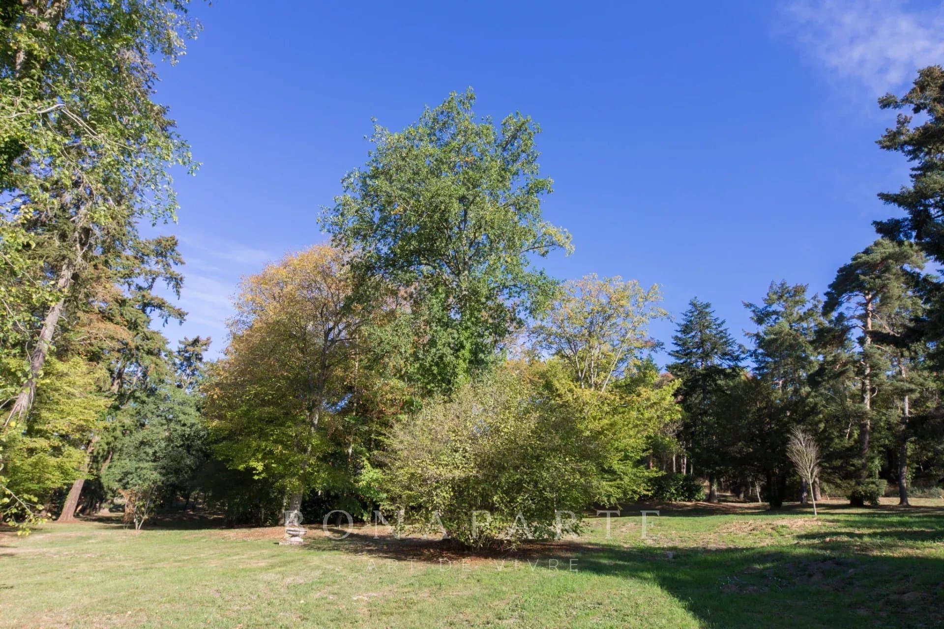 PARCELLE À BÂTIR 509M2