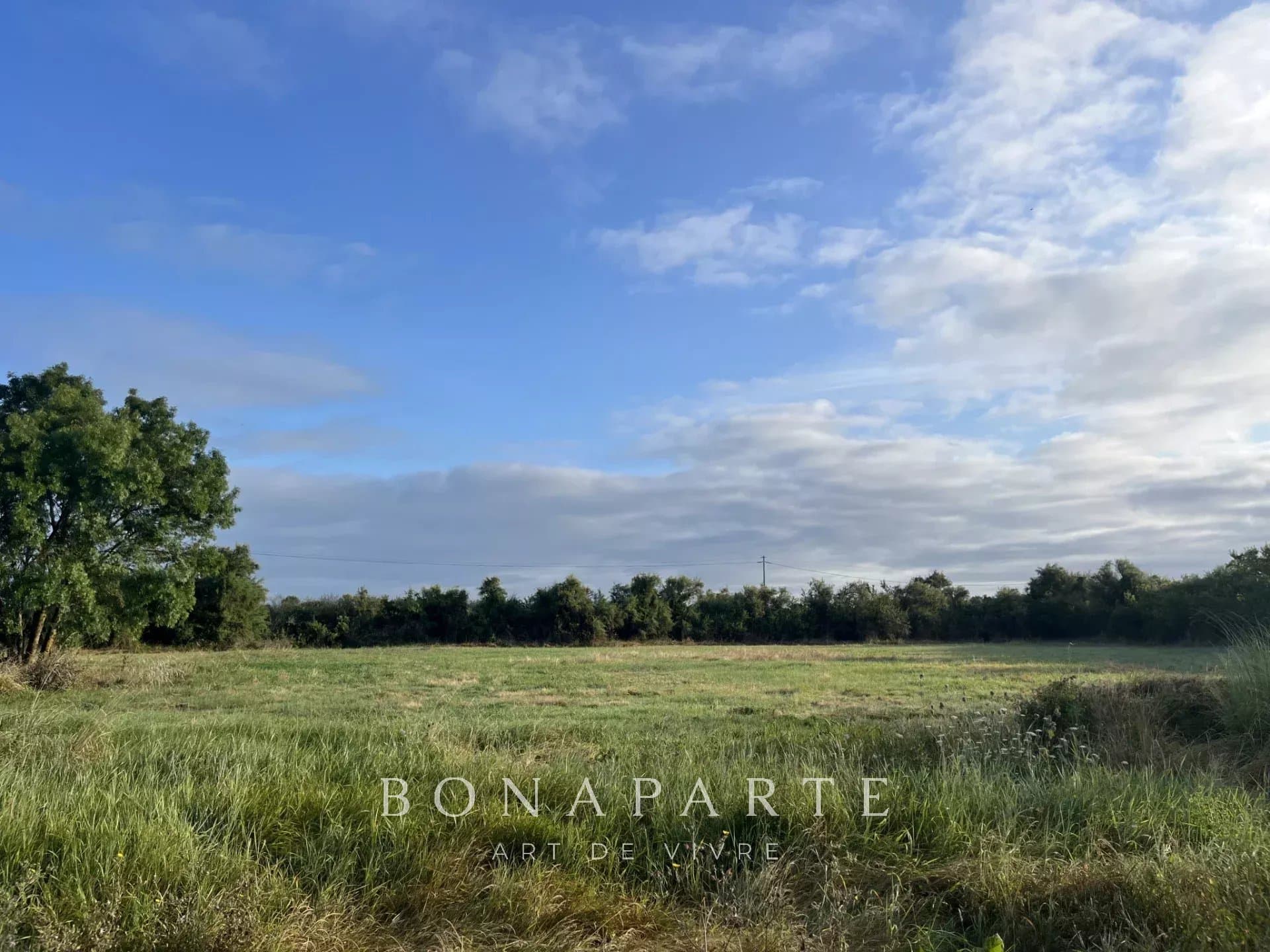 Property feature image