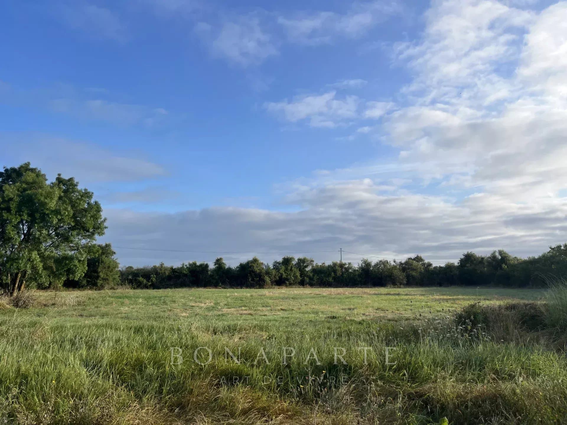 Property feature image