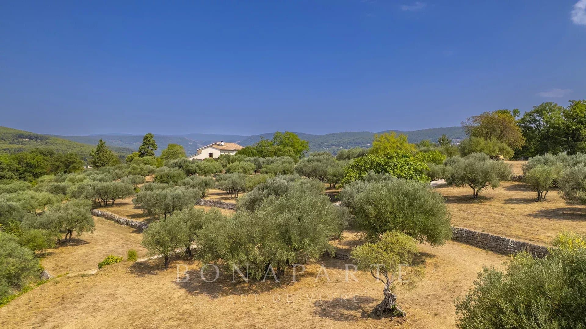 Property feature image