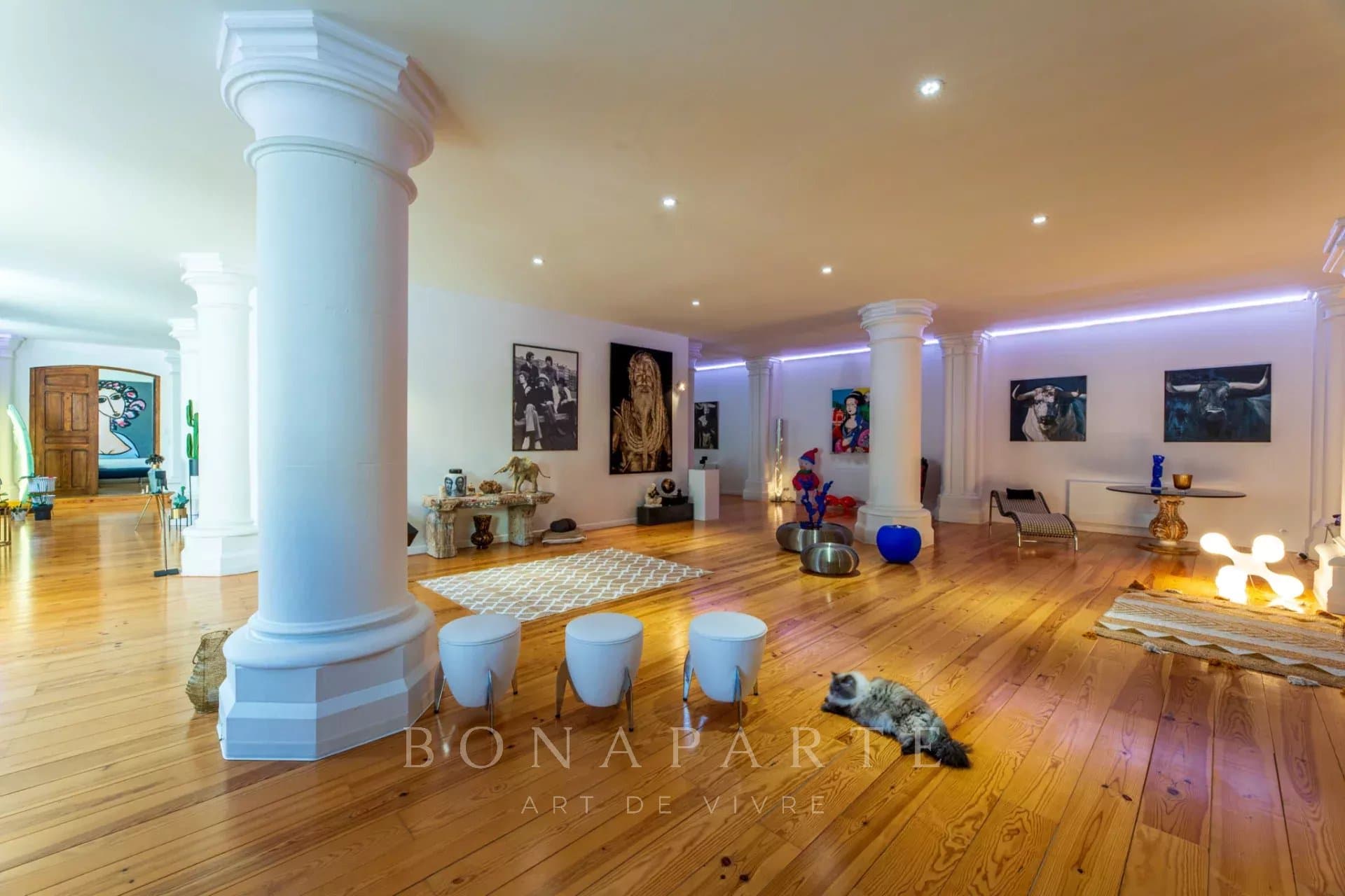 Pau Hypercentre - Appartement d’exception