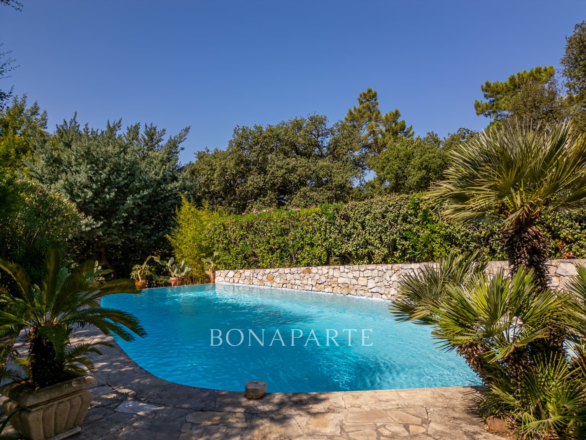 Property feature image