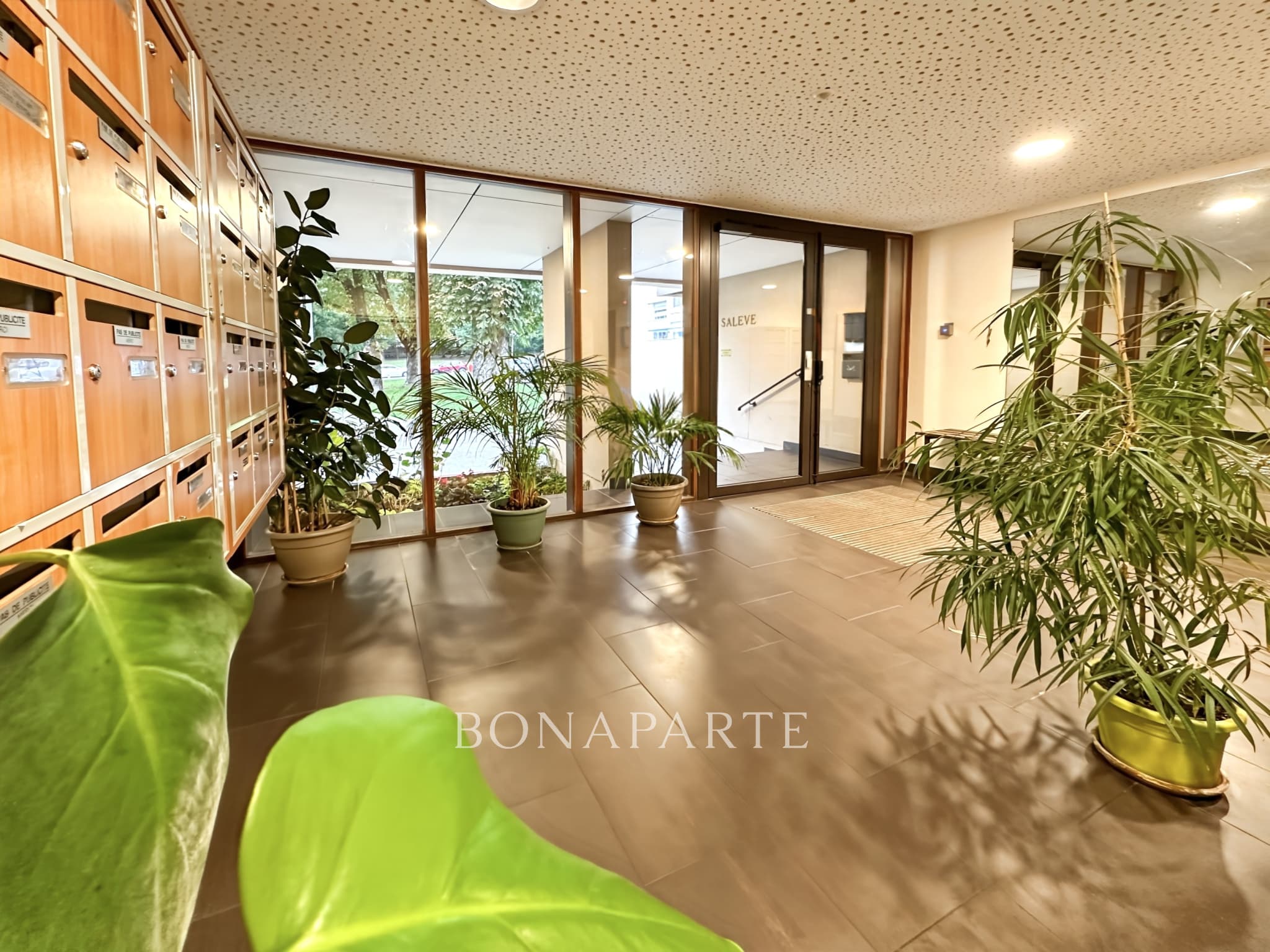 Ferney-Voltaire, bright apartment with view of Mont Blanc