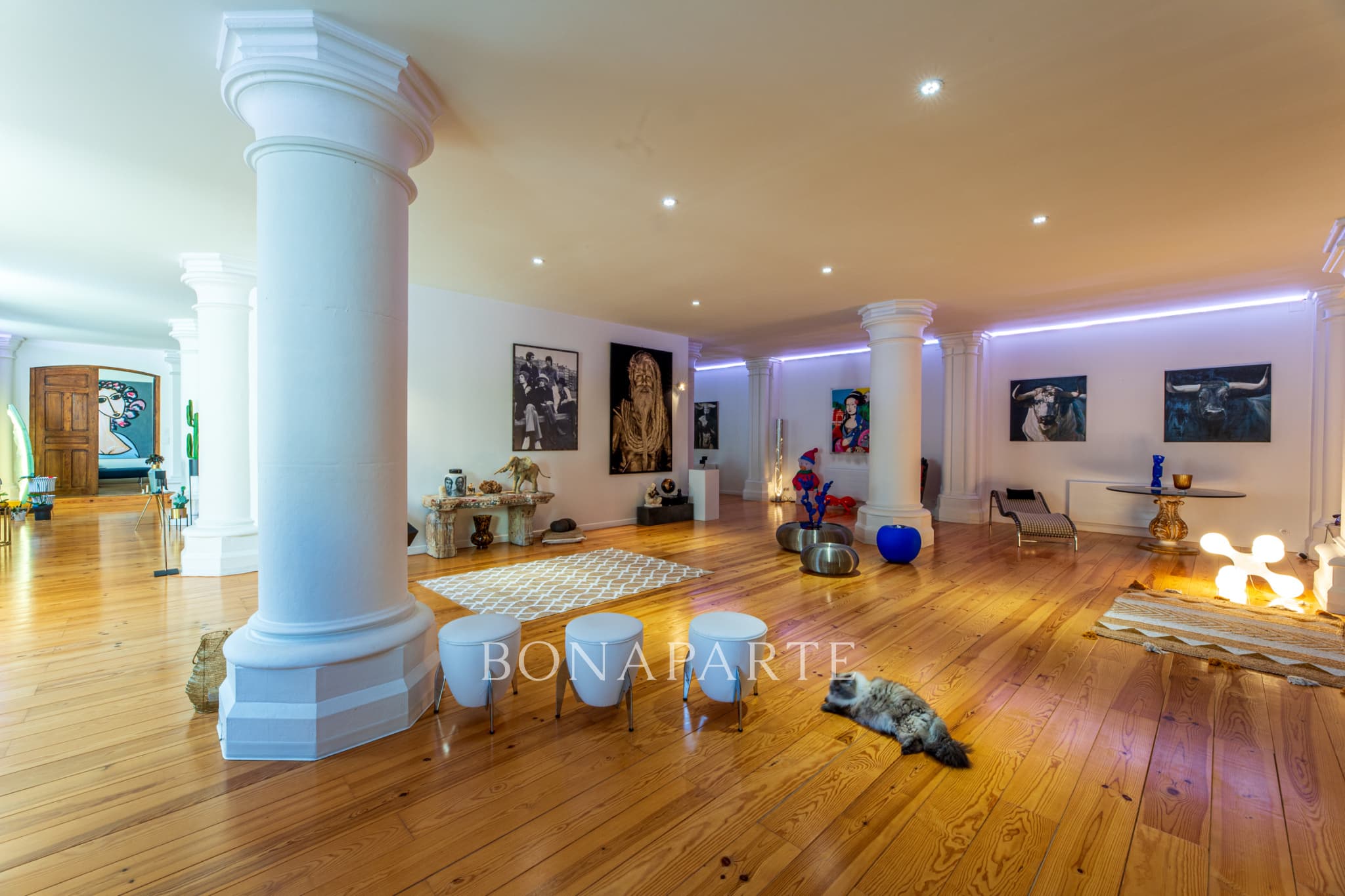 Pau Hypercentre -- Appartement d'exception