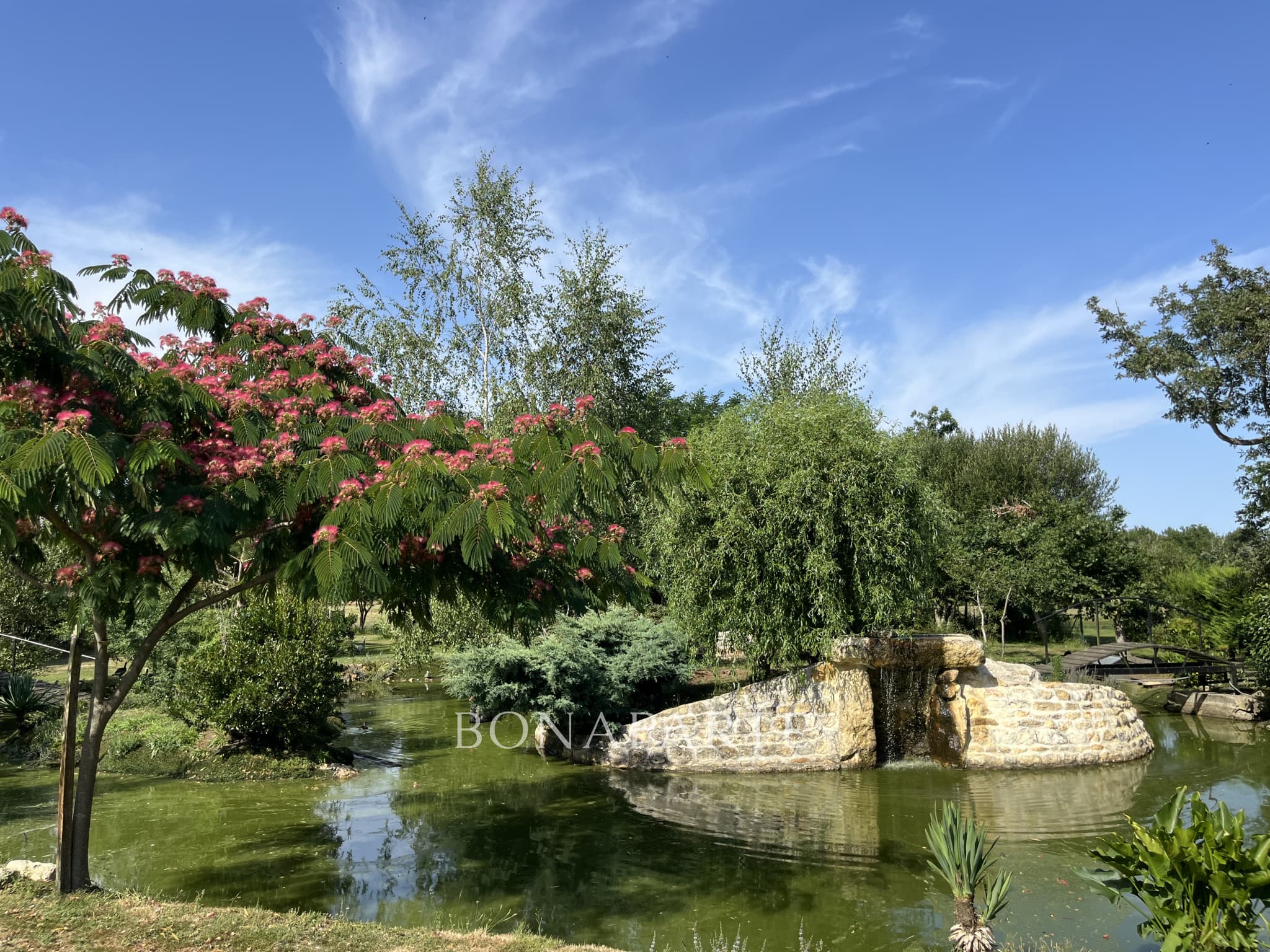 Property feature image