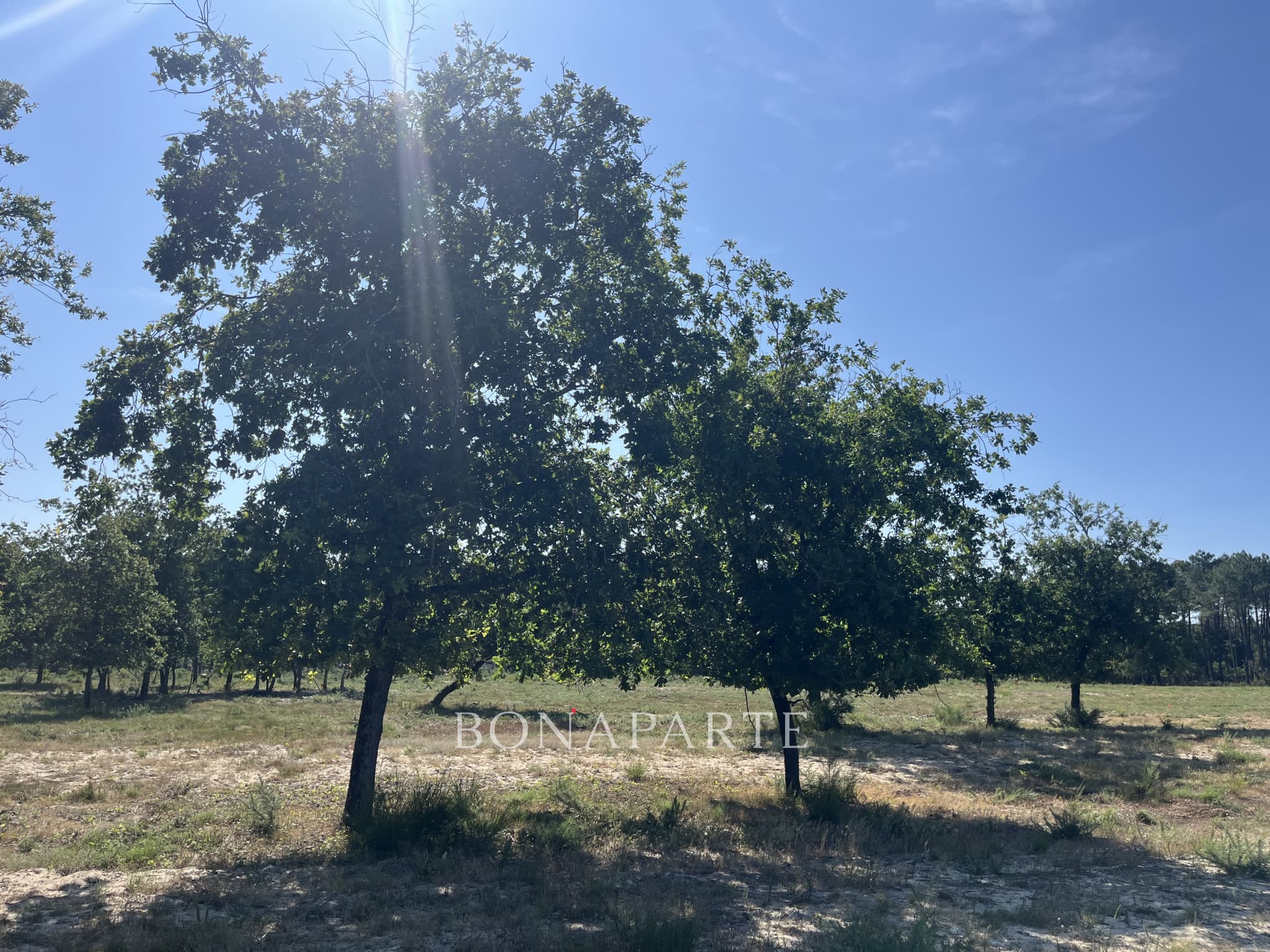 Property feature image