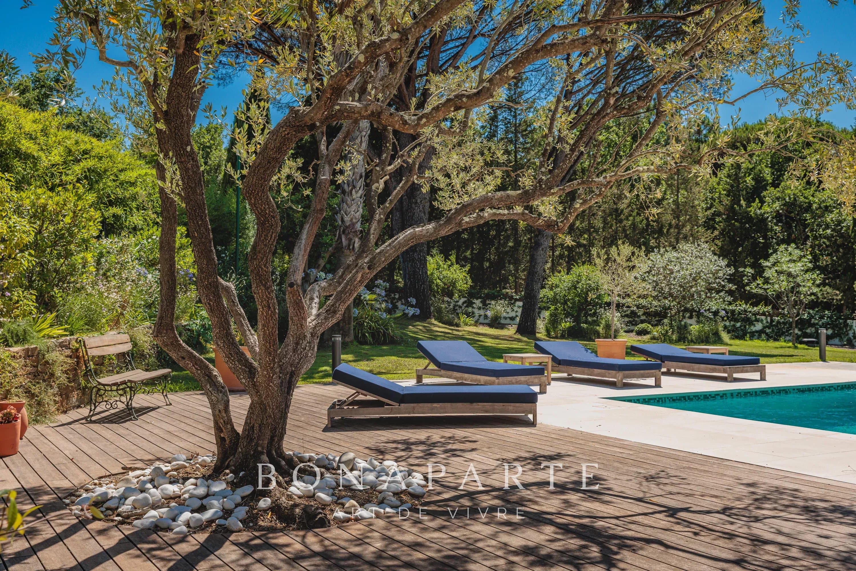 GASSIN - PROPRIETE DE CHARME - PROCHE SAINT TROPEZ - Photo 9