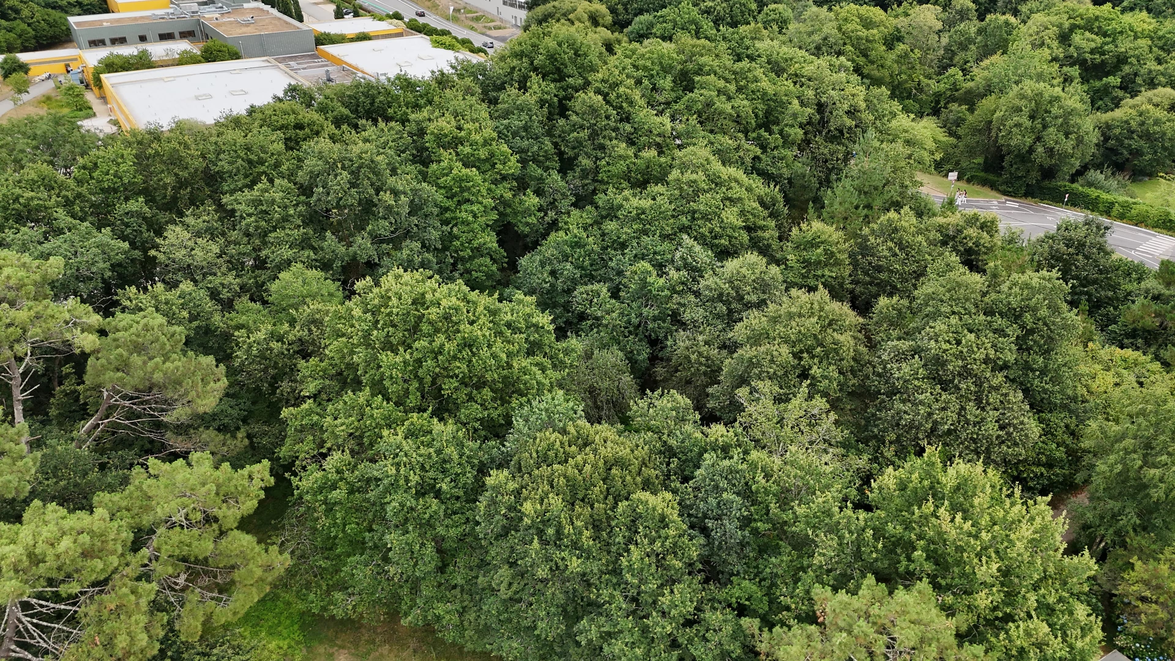 VANNES – VINCIN | TERRAIN CONSTRUCTIBLE 3 656 M² AVEC PERMIS PURGÉ - Photo 8