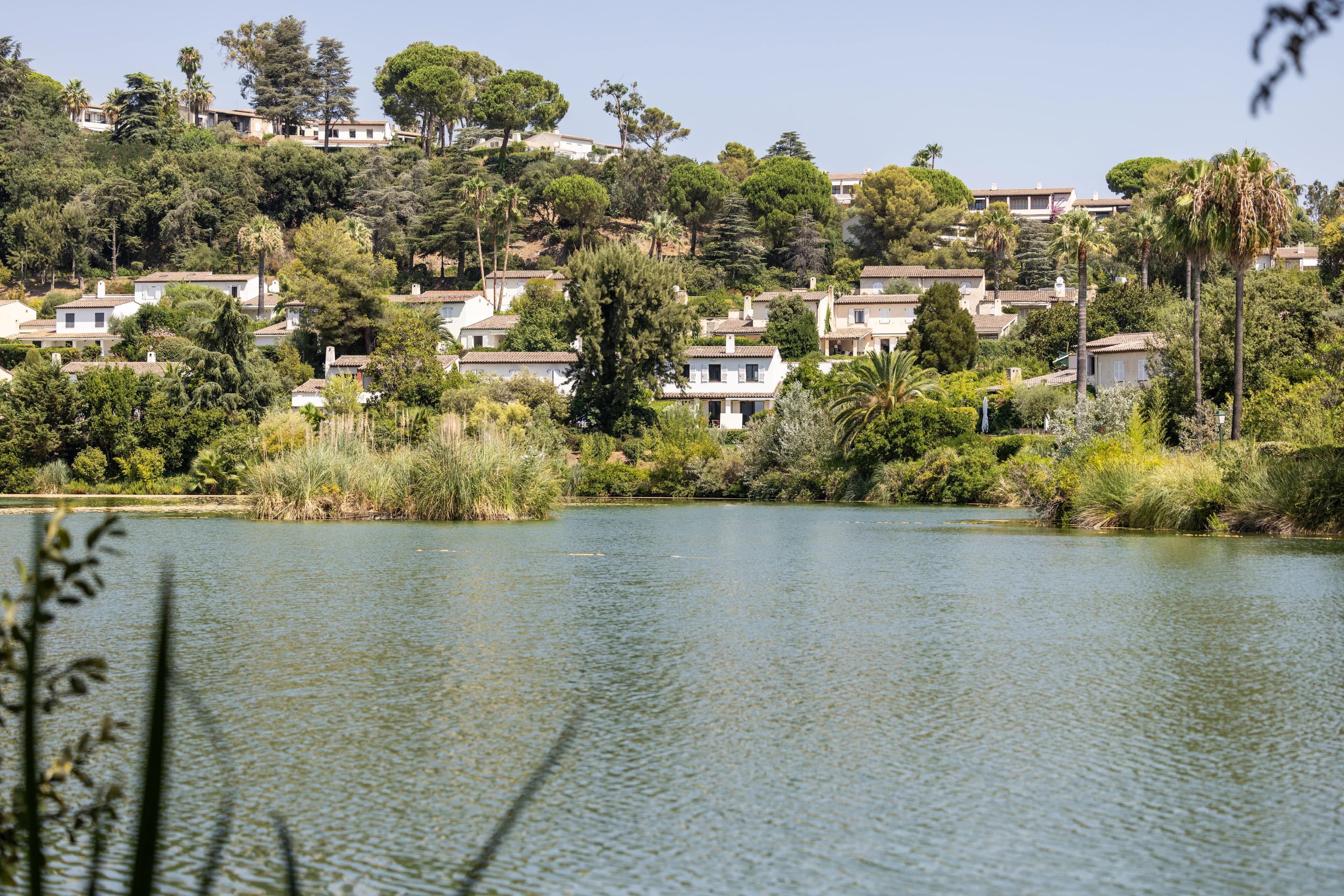 Property feature image