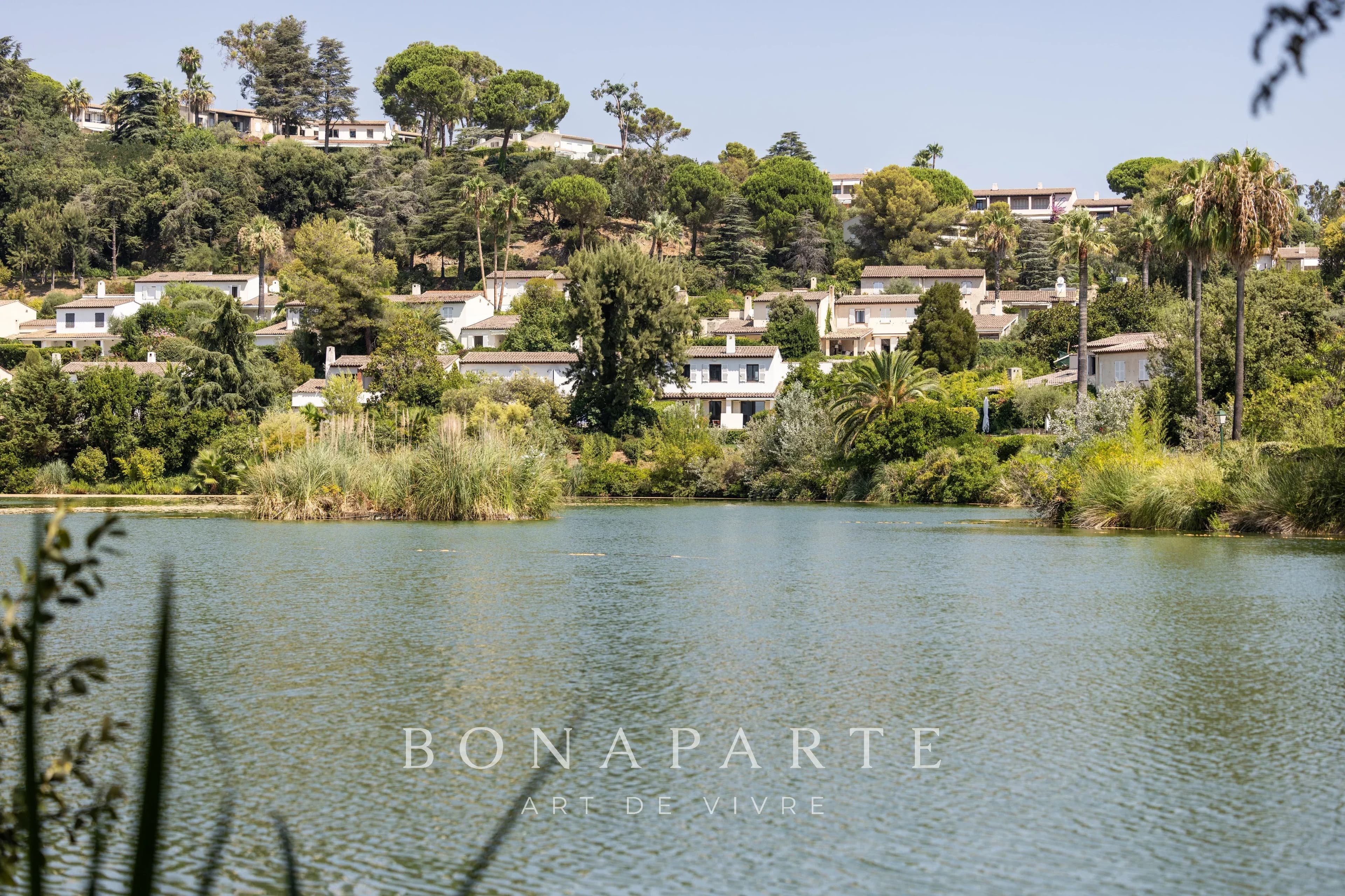 Property feature image