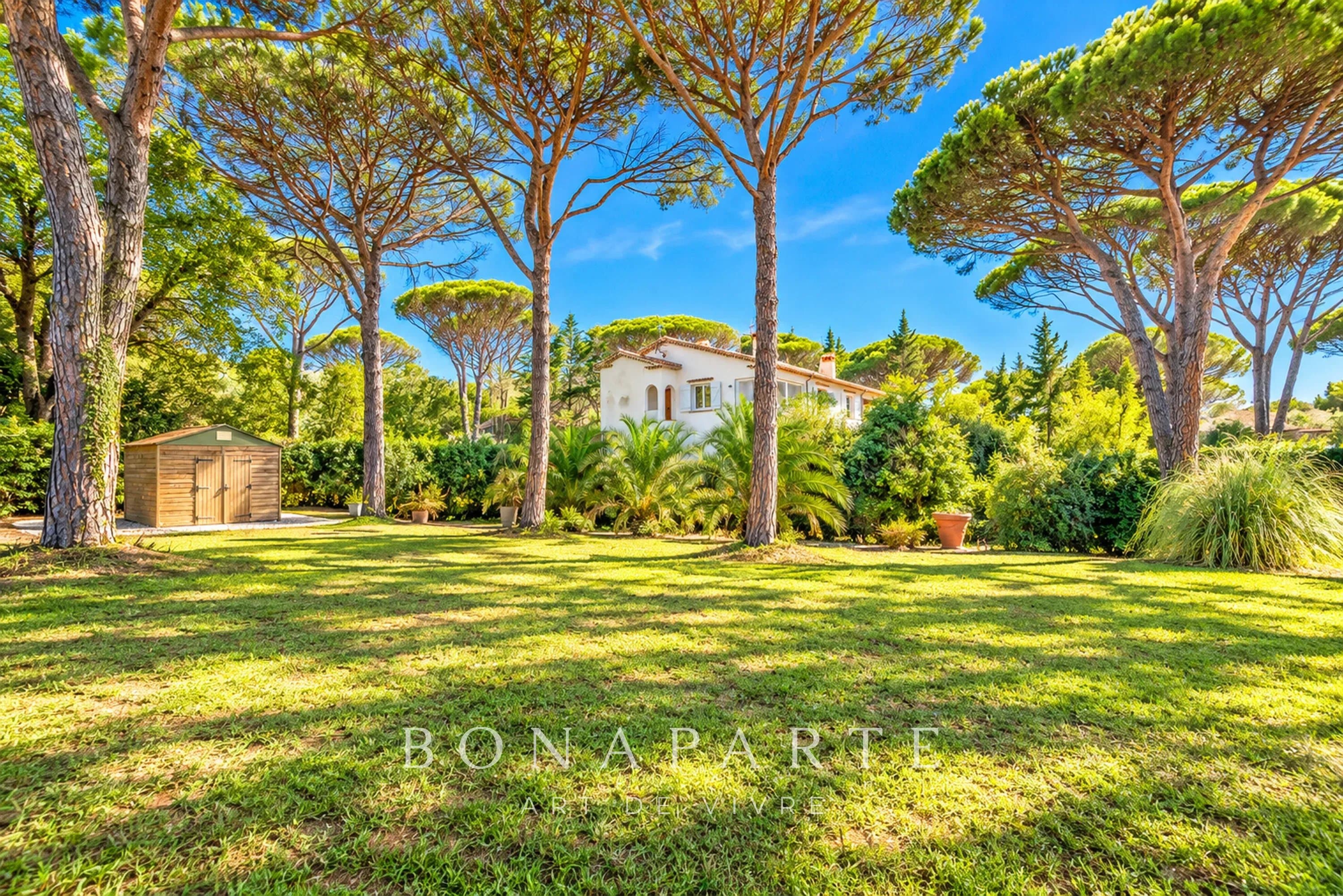 PROCHE DE SAINT TROPEZ - VILLA PROVENÇALE DE CHARME COMPRENANT 4 APPARTEMENTS INDEPENDANTS SUR UN VASTE TERRAIN - Photo 4