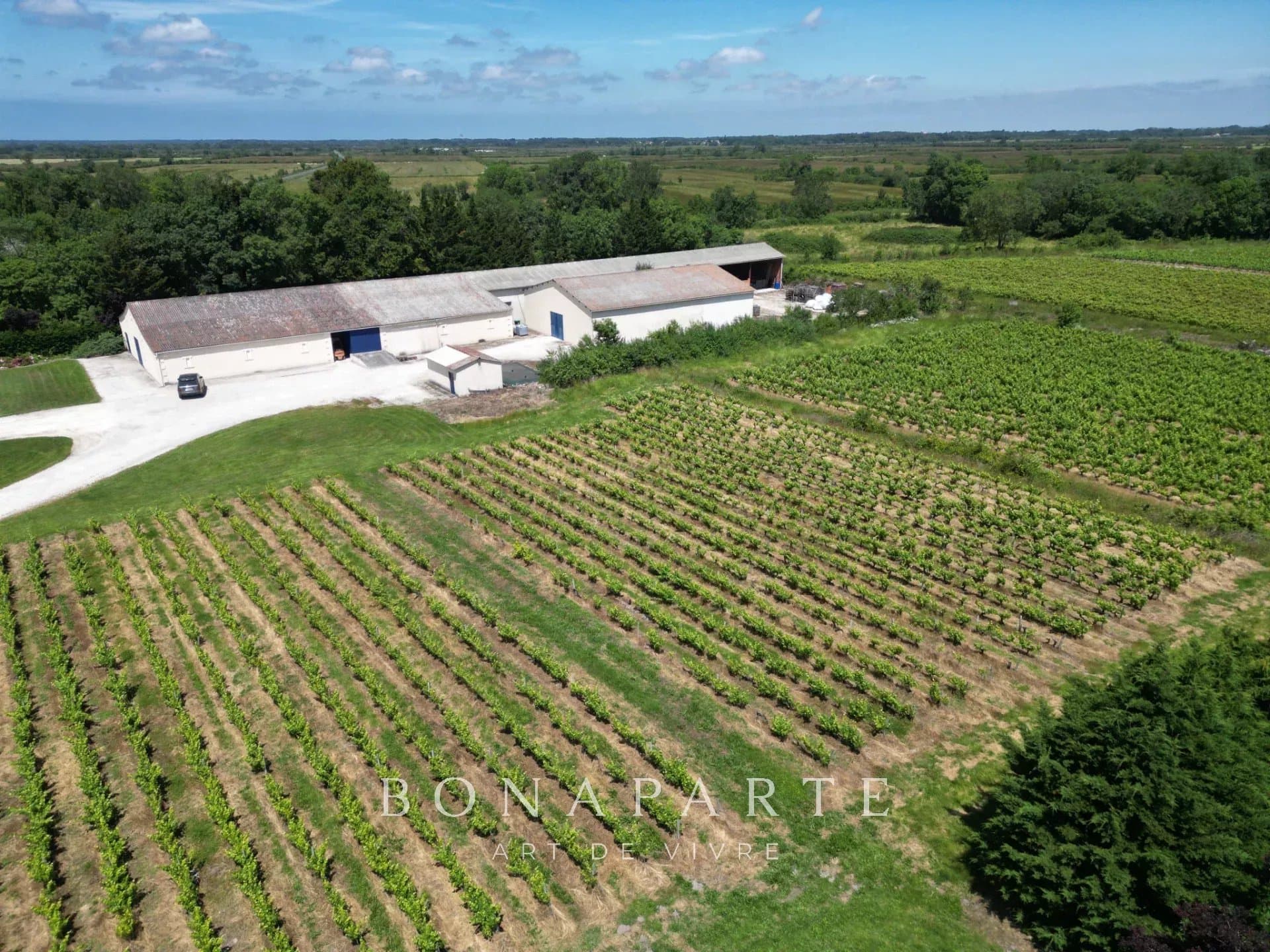 EXCLUSIVITÉ - BÉGADAN - PROPRIÉTÉ DE 1700 M2 DE BATIMENTS SUR PLUS DE 4 HECTARES - Photo 1