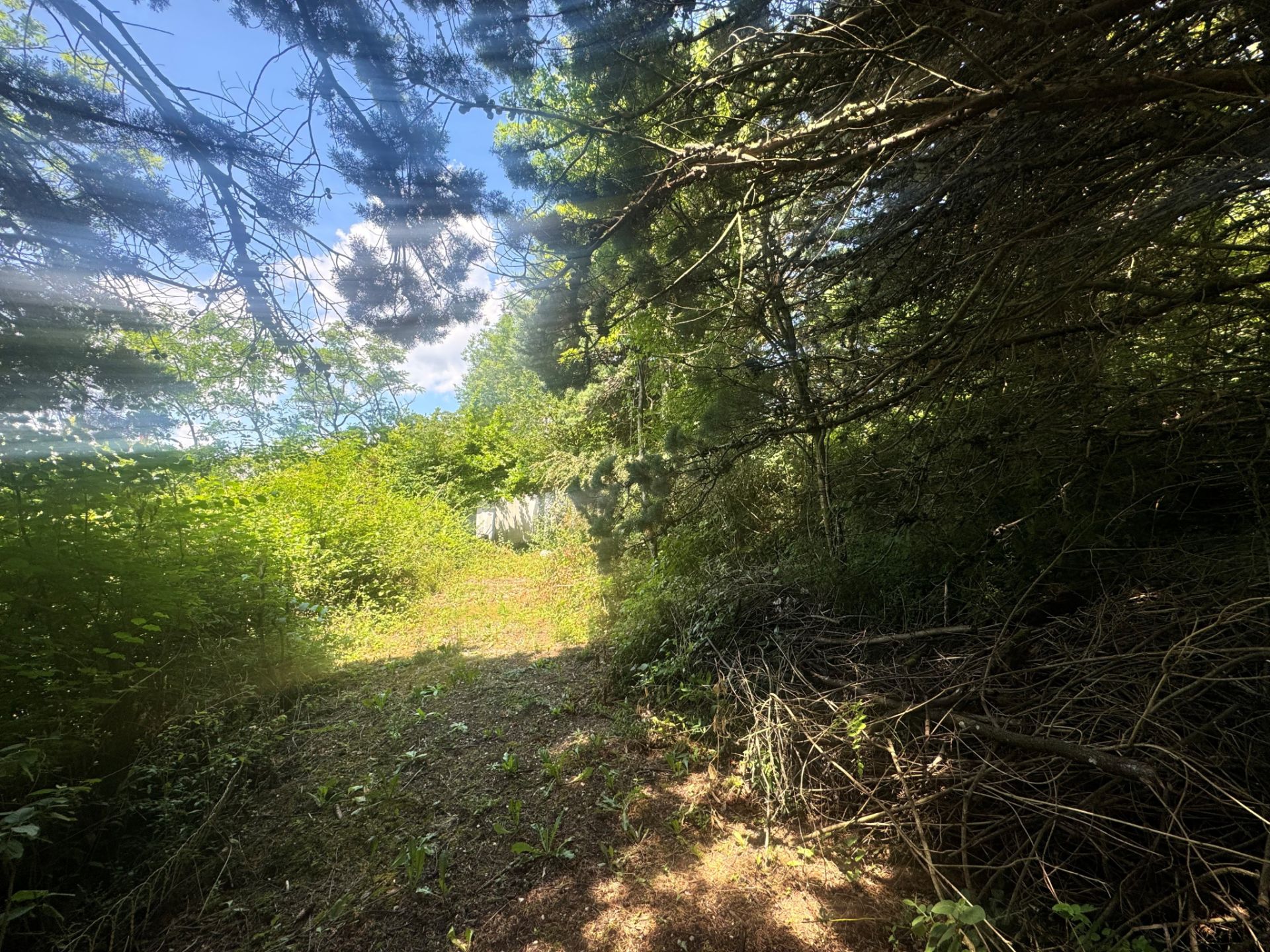 land for sale on Herbeys (38320)