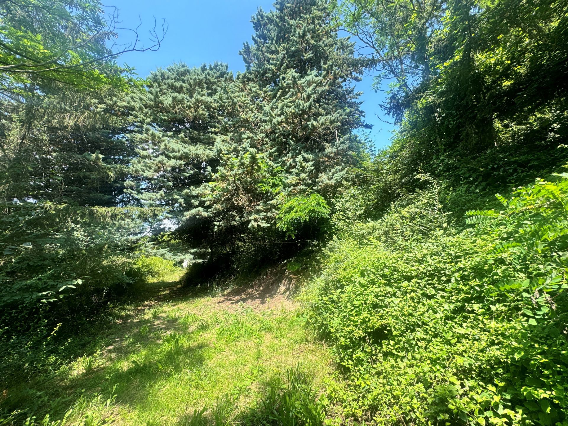 land for sale on Herbeys (38320)