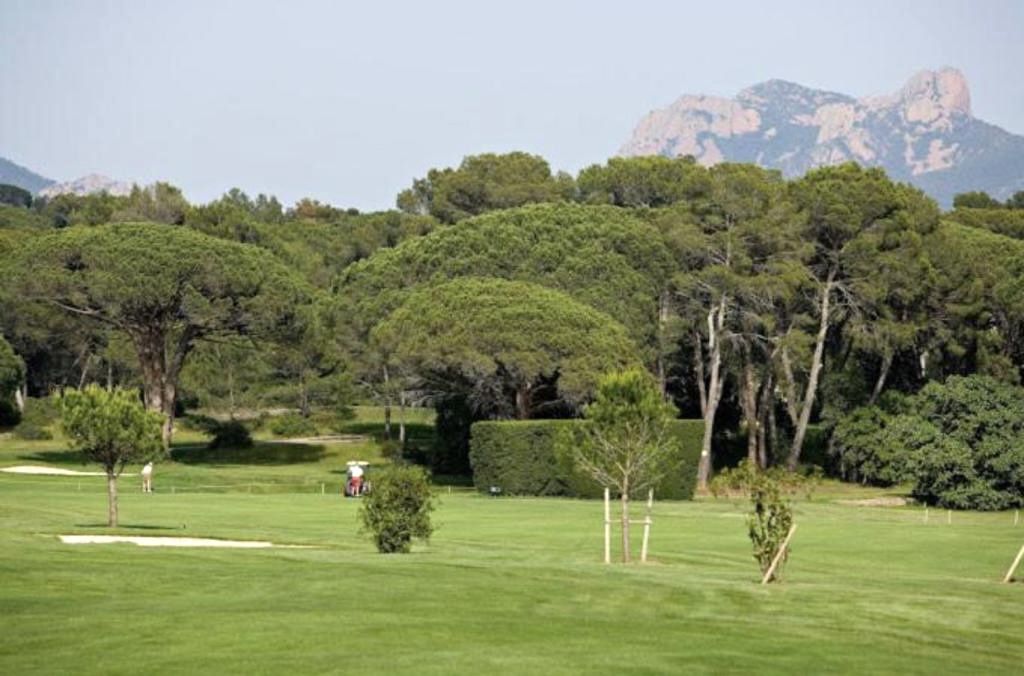 apartment 2 Rooms for sale on Saint-Raphaël (83700)