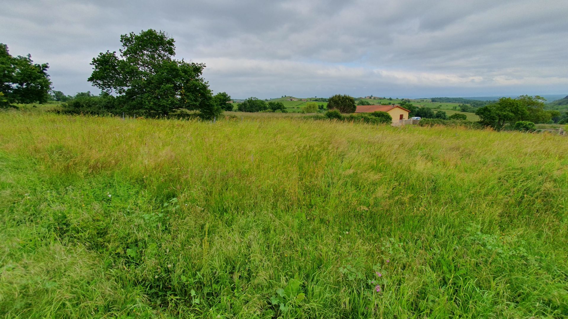 land for sale on Souternon (42260)