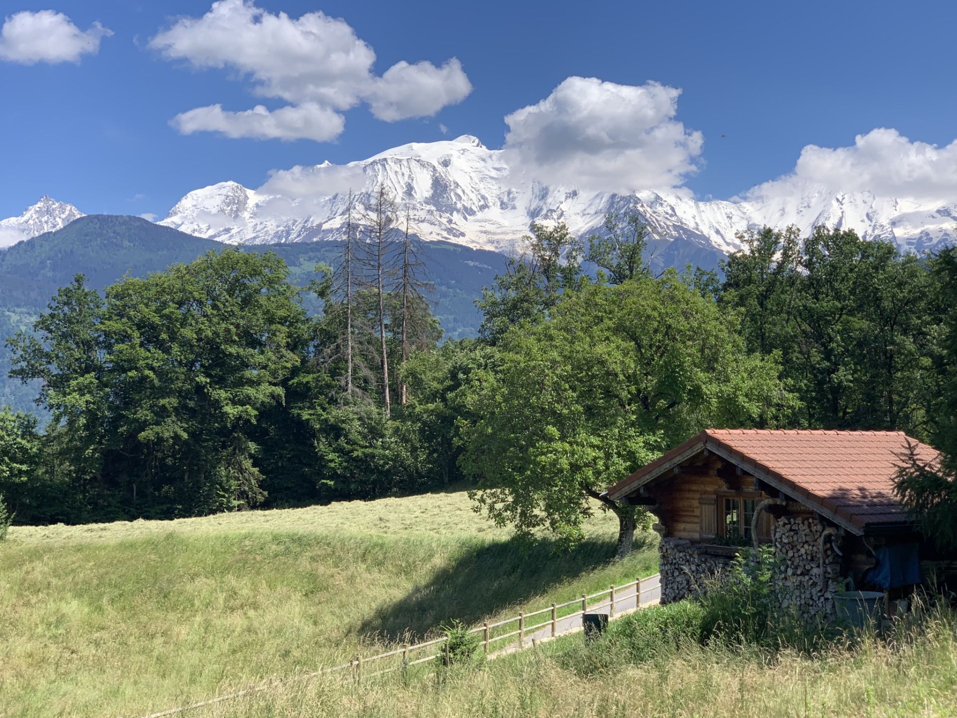 land for sale on Domancy (74700)