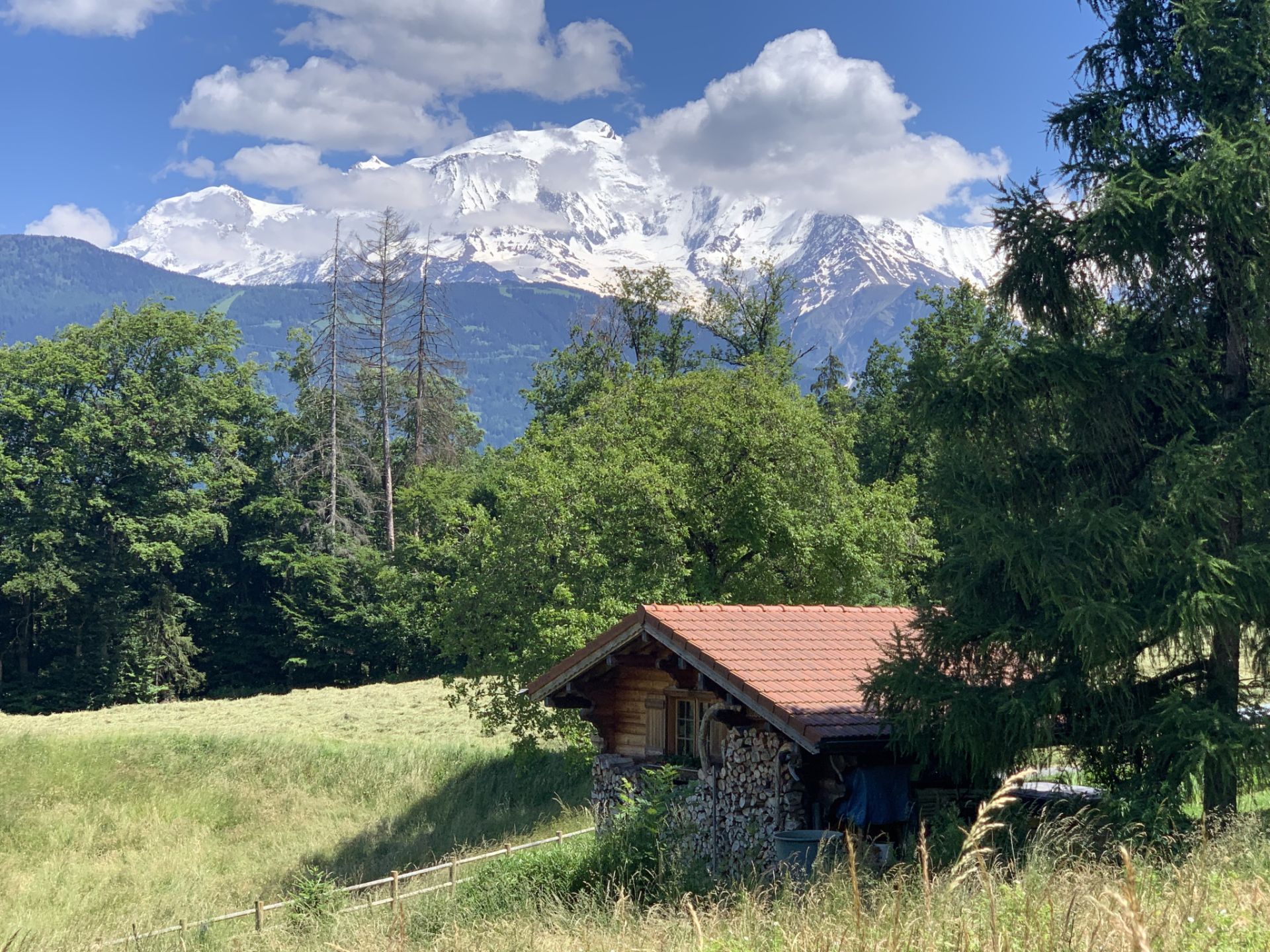 land for sale on Domancy (74700)