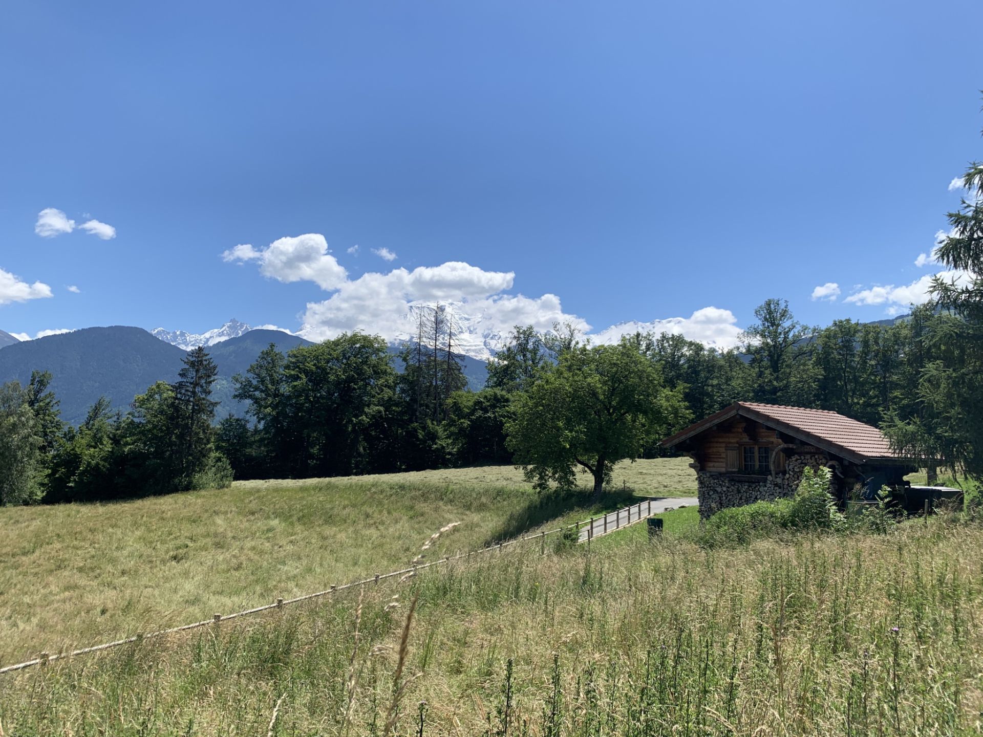 land for sale on Domancy (74700)
