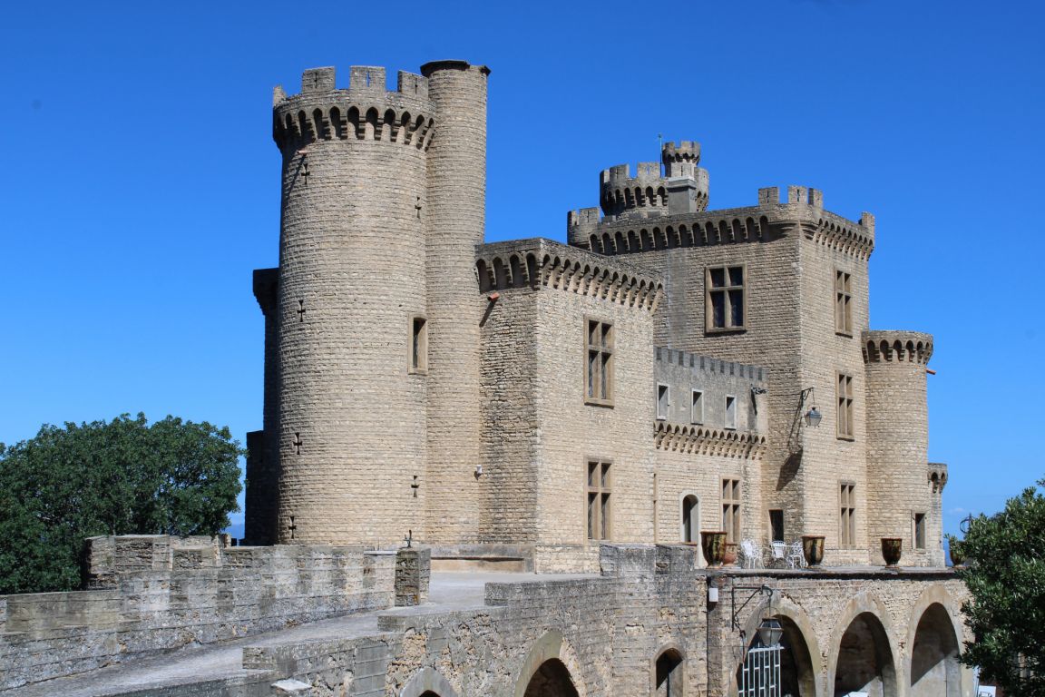 castle 11 Rooms for sale on Avignon (84000) - See details