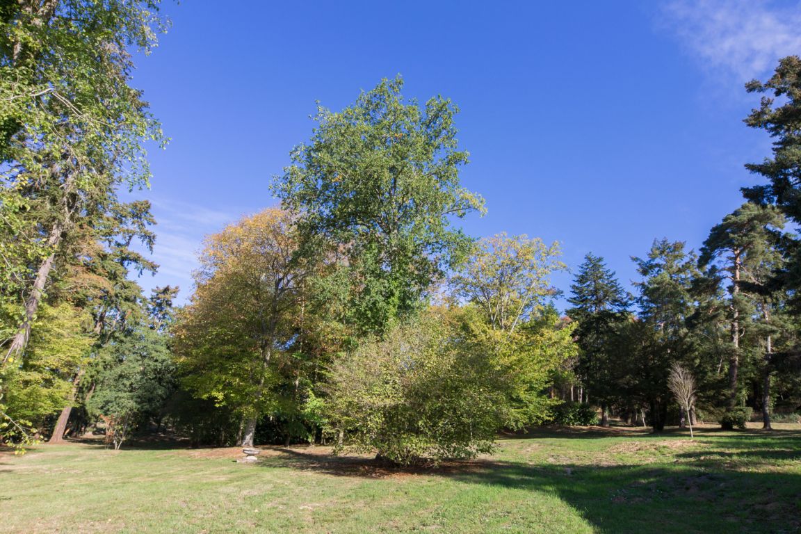 land for sale on Dourdan (91410) - See details